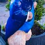 Hand painted garden ornament Peter the Rabbit Image 2