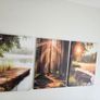 3 canvas 46x66cm Image 2