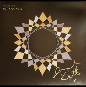 David Kitt Not fade away lp