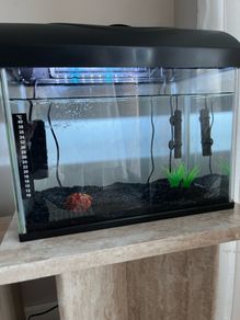 fish tank