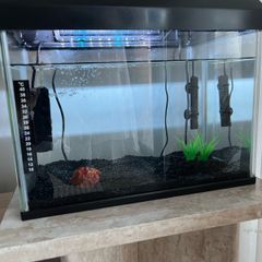 fish tank