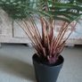 stunning large Artificial fern Image 4