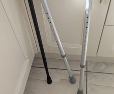 Walking Sticks