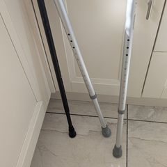 Walking Sticks