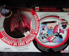 Educational toy for child