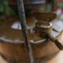 Vintage Original Primus  Brass Camping Paraffin Stove. Image 5