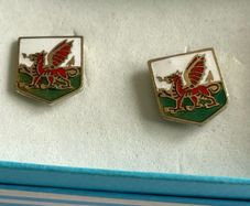 Dragon cuff links