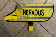 Dexil Nervous Dog Coat