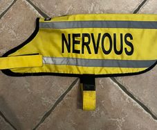 Dexil Nervous Dog Coat