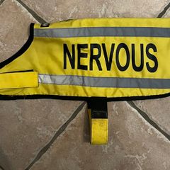 Dexil Nervous Dog Coat