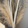 3 Black vases with fluffy pampas Image 8