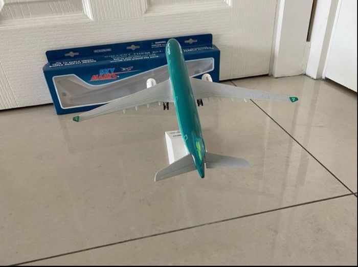 Aer Lingus A330-300 Skymarks