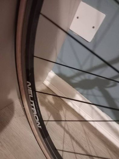 Battaglin SLX 55cm Campagnolo Record