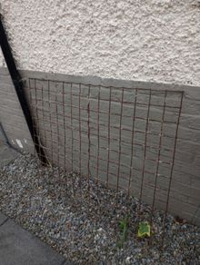 wire trellis