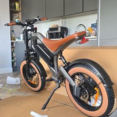 DYU M20 e bike very low kms