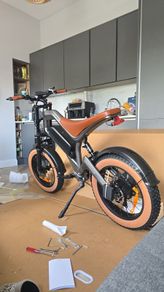 DYU M20 ebike 150kms