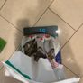 cat food Image 7