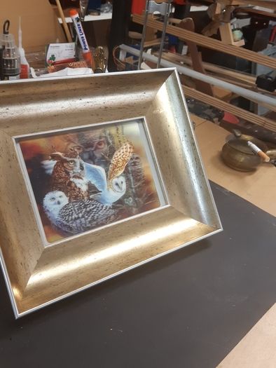 Owl holographic picture