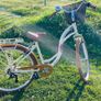 Cycle Image 2