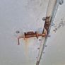 6 Steel shed doors Image 7