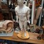 Vintage Anatomical Male Mannequin Image 3