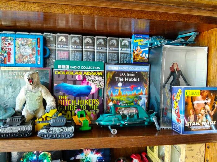 action figure, graphic novel, toys,books, VHS massive collection