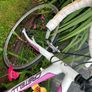 Castello Ladies Bike Image 7