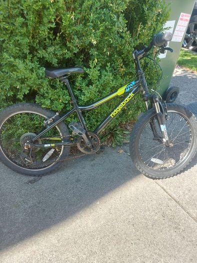 20 inch Kids Ridgeway bicycle