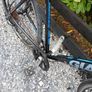 hybrid bike Image 4