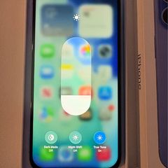 iPhone 16