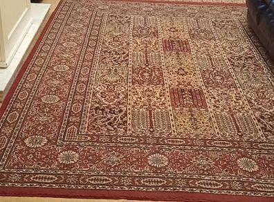 Large ikea Rug/ persian style