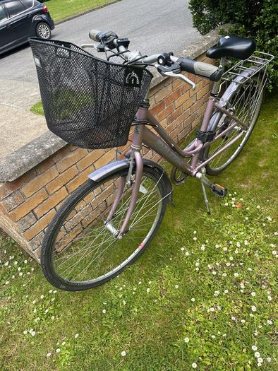 ladies raleigh bike