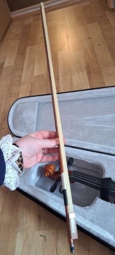 Beginner Violin and black case