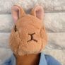 The World Of Beatrix Potter Soft Plush Bunny Peter Rabbit with Carrot approx. 15 cm. Used Please see photos Image 3
