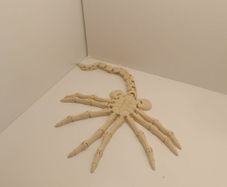 Alien Facehugger Articulated Toy