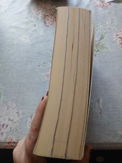 Wolves of the Calla Stephen King Dark Tower V Horror Sci-Fi Fantasy Western Fiction