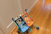 Bluey twin Buggy