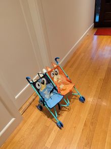 Bluey twin Buggy