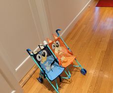 Bluey twin Buggy