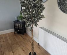 Artificial Plant