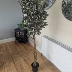 Artificial Plant