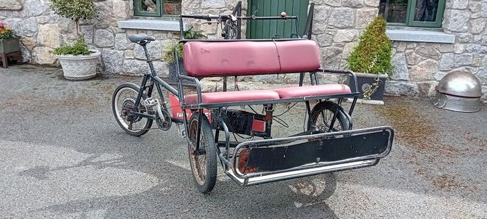 Ebike 3 Wheel Taxi