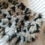 Fur Collar Image 2