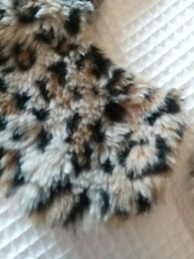 Fur Collar