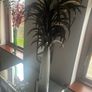 Tall Feather Arrangement Image 2