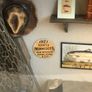 Fishing Memorabilia Shadow Box Image 2