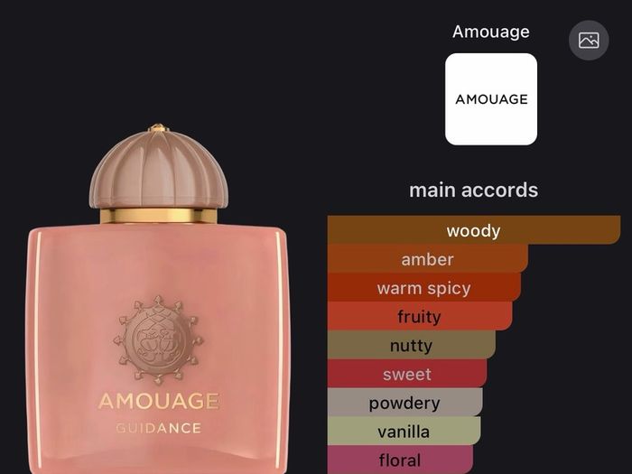 Amouage Guidance 100ml