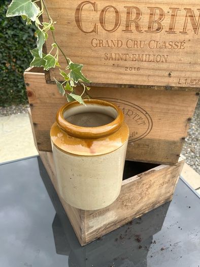 Large stoneware Jam Croc