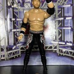 WWE Elite Wrestling Figures  - 2 for 18 posted.