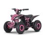 Mrf Mini 36v 1000w Kids Electric Quad Bike Image 2